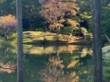 A little autumn color