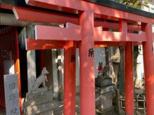 Little foxes guarding the gates.