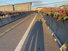 Flower Bridge (Blomsterbrua)