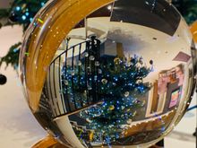 
I like the way the tree appears upside down in the crystal ball. 