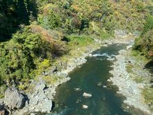 View from the train 