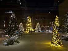 View out the restaurant window. 