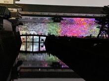 This is the extent if what we saw of the digital exhibition! Not very much….but it does look pretty, anyway!