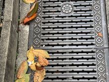 Love the elegant grate!