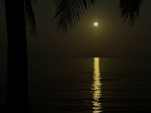 Tonight’s beautiful full moon from our backyard 