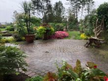 Gardens in the Rain
