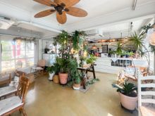 These photos don't really do it justice, but the Huinnyeoul Beach Cafe was the cutest cafe we visited