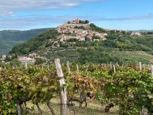 Motovun from the distance