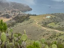 That’s our 100 passenger ship (only 80 on board though).