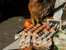 These following four images are from the Saturday Farmers Market in Tours. It is located directly beside the permanent covered Les Halles indoor equivalent, so one may do a 2-fer shopping there that day.