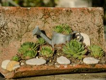 Cutesy jardin decor by the boulangerie that claims to have once invented macarons. The nearby village of Cormery takes issue with that claim as it purports to have once been the real inventors.