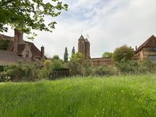 From out in the meadow