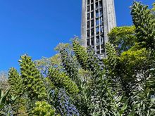 Christ Church Cathedral