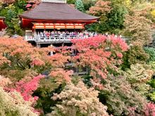 I don't remember the colours being this vivid!