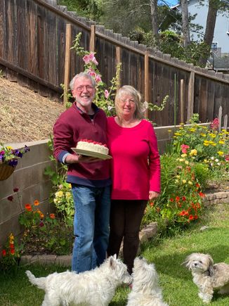 Birthday cake and pups!