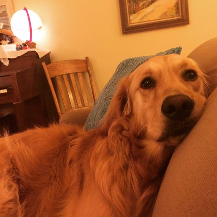 Lily thinks it’s a dumb idea.