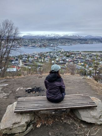 The first bench