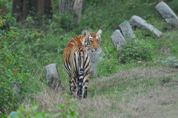 Turned to take a look at us