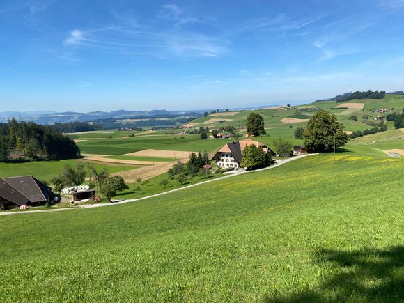 The countryside. Gloriously green and untouched by urban sprawl. 