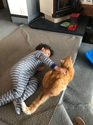 Making friends with Ginge 