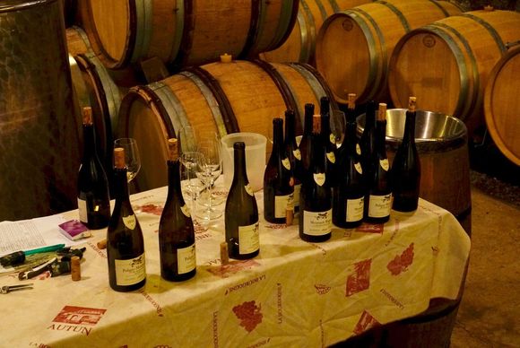 We tried them all, before noon... Superb. Learned the Chardonnays in Burgundy, supposedly among the finest in the world, taste nothing like the California Chardonnays. 