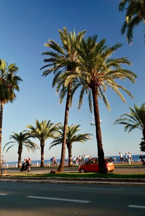 I’m a sucker for palm trees. They line the long, uber wide promenade.