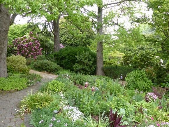 Lots of colour in flowers and leaf