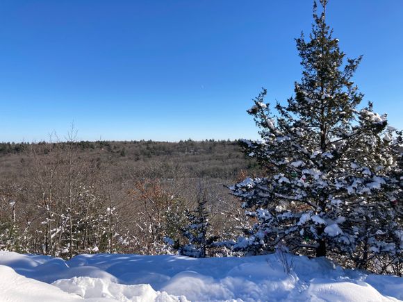 View from our hike today