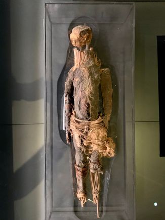 The indigenous people figured out how to mummify humans 2000 years before the Egyptians and this is one of the examples. The Egyptians used a different methodology.