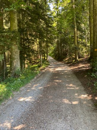 The paths through the woods