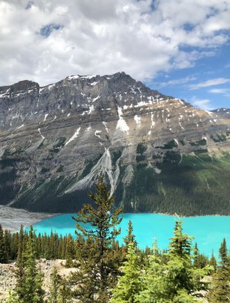 View from the top.  Water looks like the Caribbean from up here.