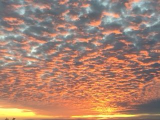 January 27, 2021  Newport Beach, CA 
