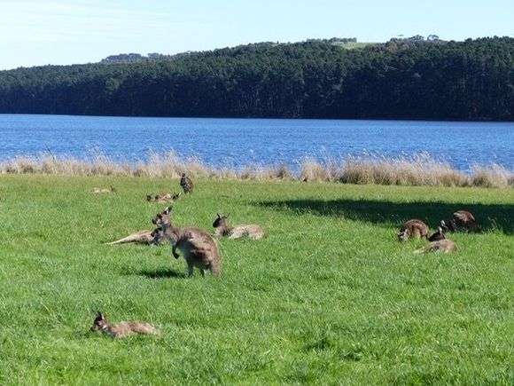 The reservoir and the locals