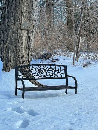 A little spot in the sun where I stop after my walks. 