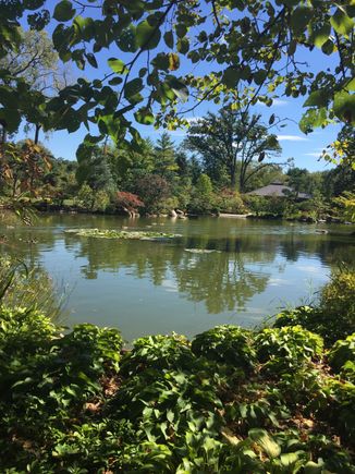 The Japanese Gardens where I volunteer. Just seeing if I can attach pictures. 