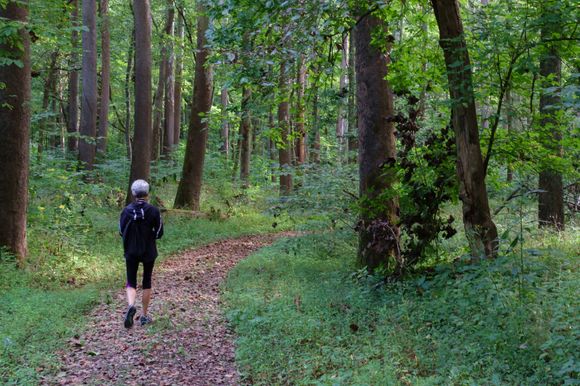 Peaceful hike thru Shaw Nature Reserve, but where are the birds??!!