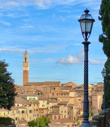 Torre del Mangia city view 