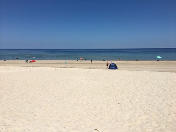 Beautiful day at the beach
