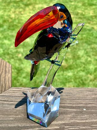 Never seen a bird sparkle so much!