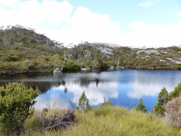 Passing Wombat Pool