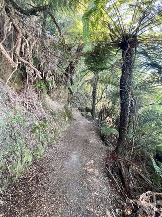 A lot of this portion of the track looks like this - and, yes, there's a pretty steep drop to one side.