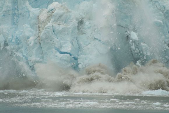 Those are some huge chunks which created a large wave that rocked and rolled our small 100 passenger boat.