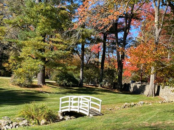 Someone’s footbridge 