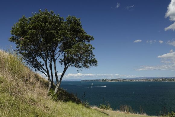 View on North Head