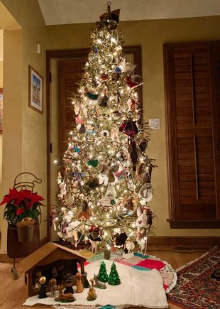 Same tree all lit up!