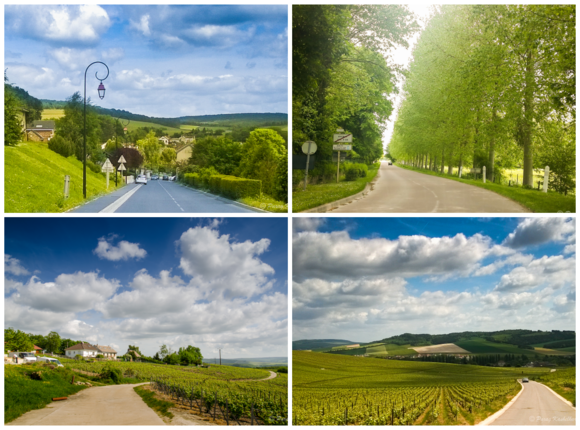 Route touristique du Champagne, indeed is one of the most picturesque route with an additional zing of the bubbly