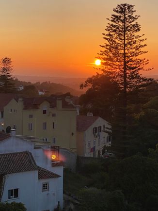 View from the room 