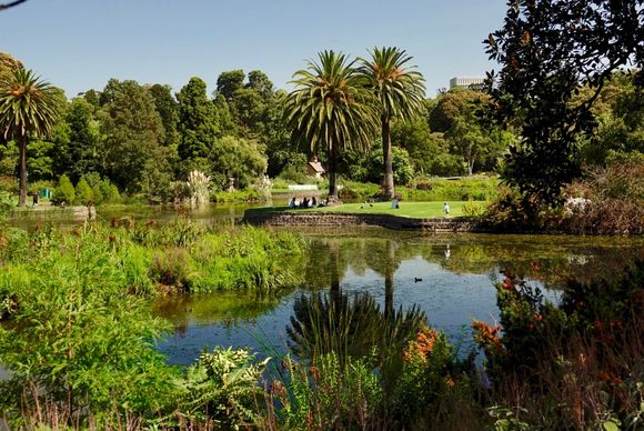 G’day from Melbourne, mates!! Shot from the Royal Botanic Garden.