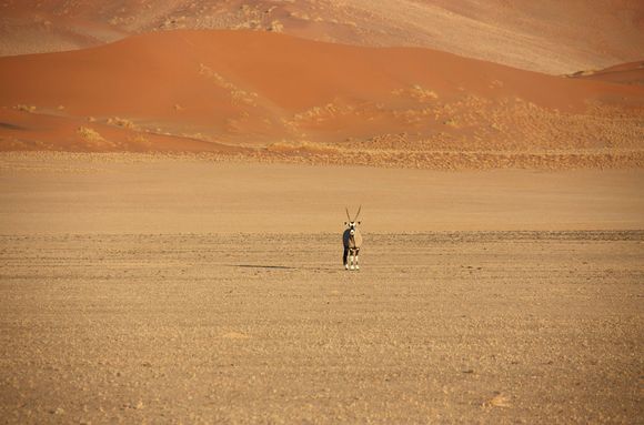 Namibia 2016