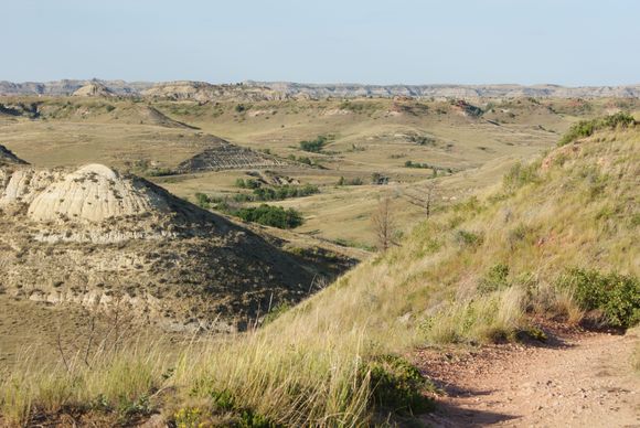 How Teddy Roosevelt looked at this land and decided it was "the" place to raise cattle is beyond me. Praire Dogs yes, cattle NFW.